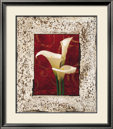 Calla Lilies by John Seba Pricing Limited Edition Print image