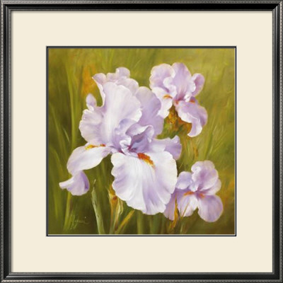 Spring Flair I by Fasani Pricing Limited Edition Print image