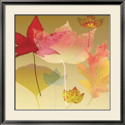 Leaf Counterpoint by Robert Mertens Pricing Limited Edition Print image
