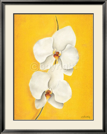 Orchid In The Sun by Caroline Wenig Pricing Limited Edition Print image