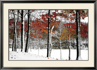 Snowfall by Burney Lieberman Pricing Limited Edition Print image
