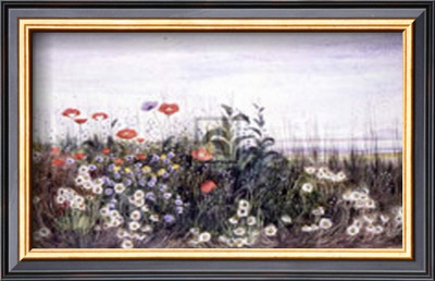 Hedgerow Ii by A. Nicholl Pricing Limited Edition Print image