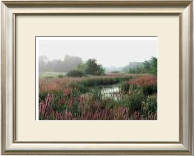 Morning Mist by Harvey Edwards Pricing Limited Edition Print image
