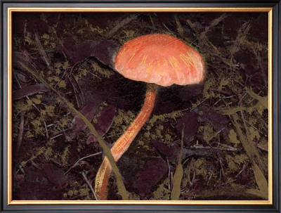Forest Floor Iii by Alicia Ludwig Pricing Limited Edition Print image