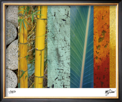 Rainforest Zen Ii by M.J. Lew Pricing Limited Edition Print image