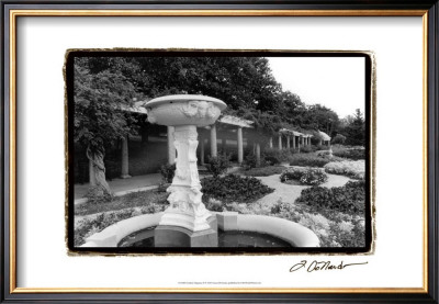 Garden Elegance Ii by Laura Denardo Pricing Limited Edition Print image