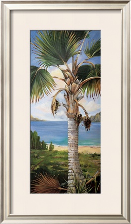 Fan Palm by Deborah Thompson Pricing Limited Edition Print image