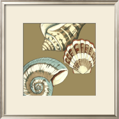 Shell Trio On Khaki Ii by Megan Meagher Pricing Limited Edition Print image