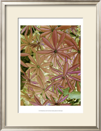 Woodland Plants In Red Iv by Sharon Chandler Pricing Limited Edition Print image