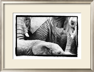 Eletexture by Susann & Frank Parker Pricing Limited Edition Print image