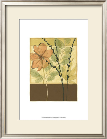 Printed Tranquil Garden Ii by Jennifer Goldberger Pricing Limited Edition Print image