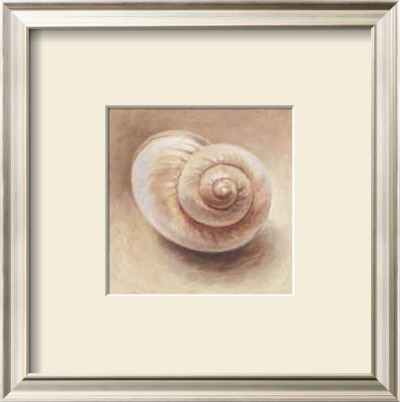 Shell Iv by Lanie Loreth Pricing Limited Edition Print image