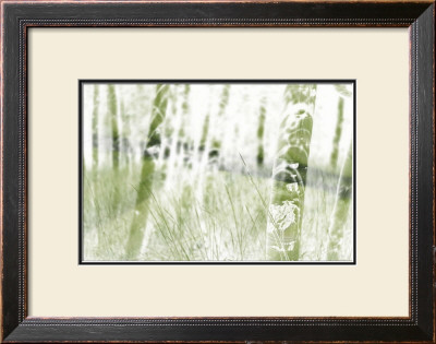 Into The Woods by Susann & Frank Parker Pricing Limited Edition Print image