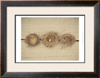 Nesting Ii by Meghan Mcsweeney Pricing Limited Edition Print image