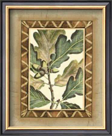 Rustic Oak I by Deborah Bookman Pricing Limited Edition Print image