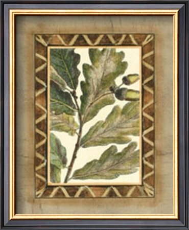 Rustic Oak Ii by Deborah Bookman Pricing Limited Edition Print image