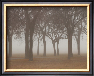 Early Morning by Keith Levit Pricing Limited Edition Print image