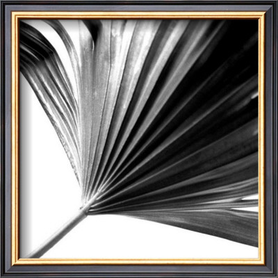 Black And White Palms Ii by Jason Johnson Pricing Limited Edition Print image
