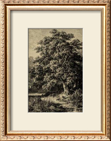 Oak Tree by Ernst Heyn Pricing Limited Edition Print image