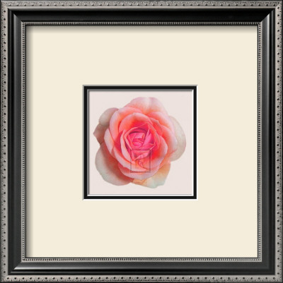 Pink Flowers I by Katja Marzahn Pricing Limited Edition Print image