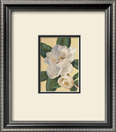 Morning Magnolia by Waltrand Von Schwarzbek Pricing Limited Edition Print image