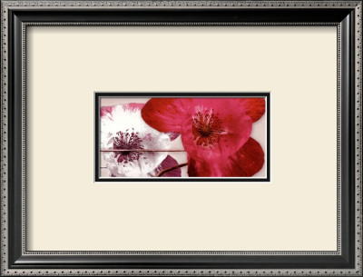 Anemonen Duo Ii by Frauke Meszaros Pricing Limited Edition Print image