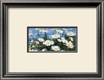 A Place In The Sun by Sigi Loew Pricing Limited Edition Print image