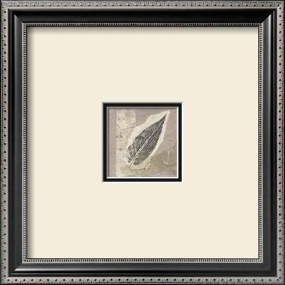 Elm Leaf by Diane Kline Pricing Limited Edition Print image