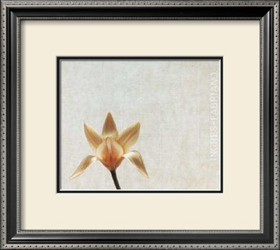 Tulip Iiii by Helen Buttfield Pricing Limited Edition Print image