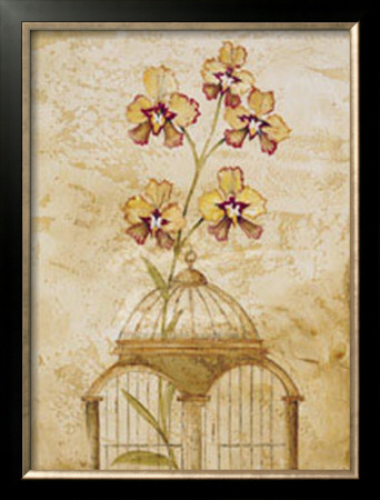 Gilded Cage I by Elizabeth Jardine Pricing Limited Edition Print image
