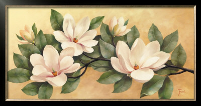 Magnolia by Fasani Pricing Limited Edition Print image