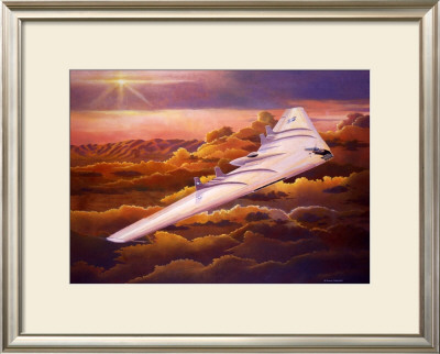 Northrup B49 Flying Wing by Douglas Castleman Pricing Limited Edition Print image