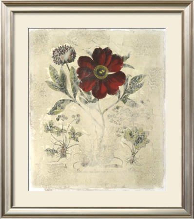 Peony Fresco I by Basilius Besler Pricing Limited Edition Print image