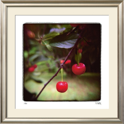 Jacquie's Cherries by Rebecca Tolk Pricing Limited Edition Print image