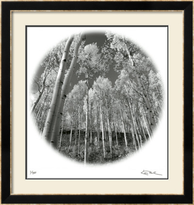 Sunlit Forest by Ken Paul Pricing Limited Edition Print image