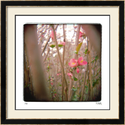 Quince Forest by Rebecca Tolk Pricing Limited Edition Print image