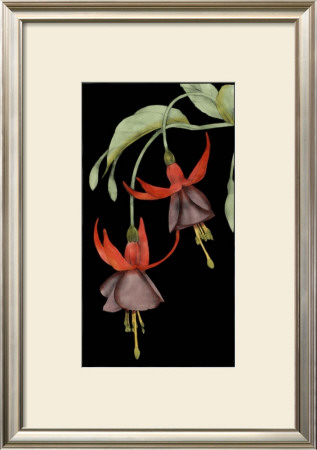 Graphic Fuchsia V by Jennifer Goldberger Pricing Limited Edition Print image