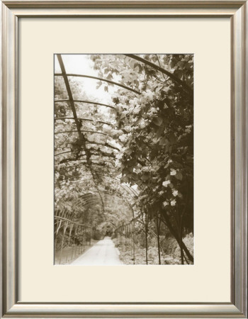 Royal Botanical Garden, Madrid by Meg Mccomb Pricing Limited Edition Print image