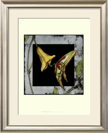 Tiled Butterfly Ii by Jennifer Goldberger Pricing Limited Edition Print image
