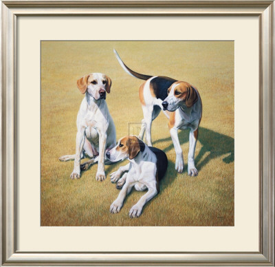 Cotswold Foxhounds by Gary Stinton Pricing Limited Edition Print image