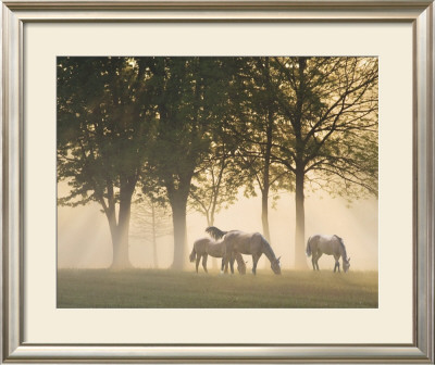 Horses In The Mist by Monte Nagler Pricing Limited Edition Print image