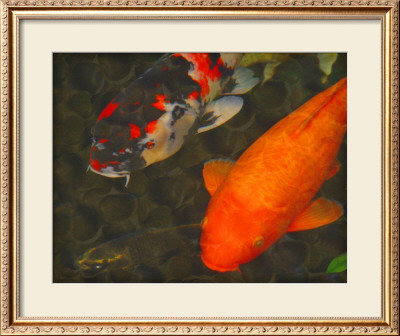 Green Rock Japanese Koi Ii by Erichan Pricing Limited Edition Print image