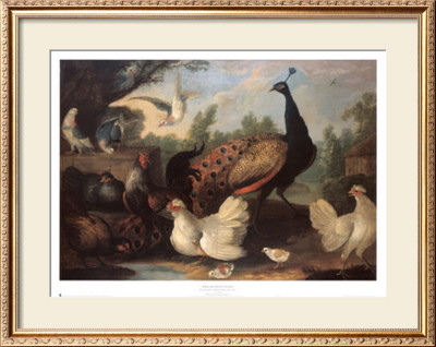 Barnyard With Chickens by Melchior D'hondecoeter Pricing Limited Edition Print image