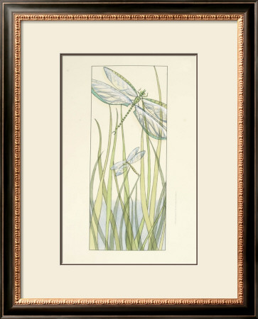 Gossamer Dragonflies Ii by Chariklia Zarris Pricing Limited Edition Print image