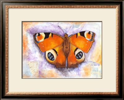 Butterflies Of The World by Tiffany Budd Pricing Limited Edition Print image