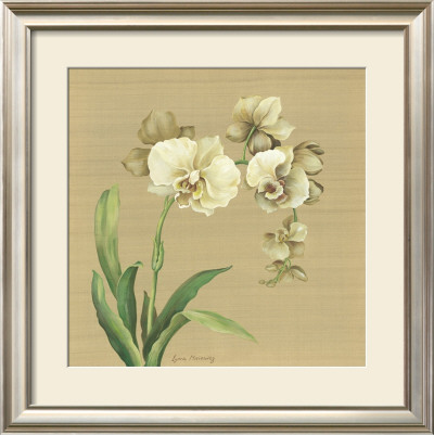 Asian Orchid by Lynne Misiewicz Pricing Limited Edition Print image