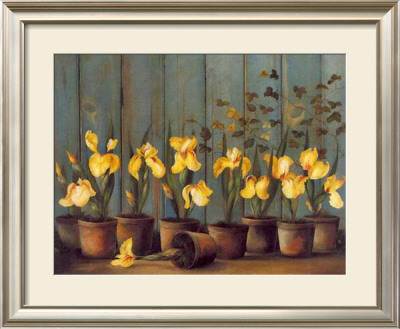 Iris Jaunes by Fabrice De Villeneuve Pricing Limited Edition Print image