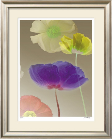 Poppy Suite Iii by Robert Mertens Pricing Limited Edition Print image