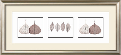 Leaves I by Mark Baker Pricing Limited Edition Print image