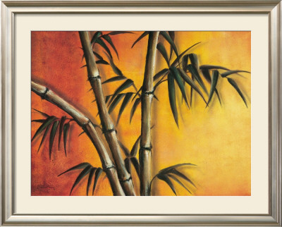 Bambou Flamboyant by Caroline Wenig Pricing Limited Edition Print image